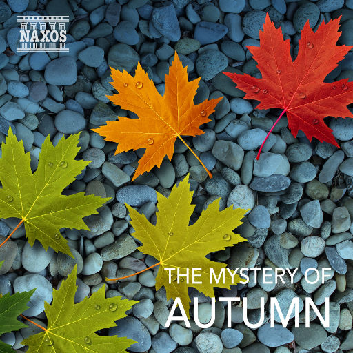 吸奶子喷了视频
